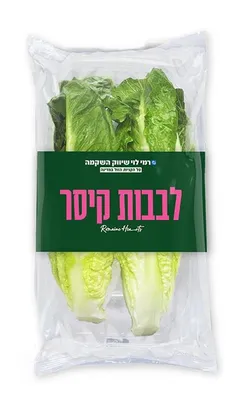 תרד עלים ניוזילנדי