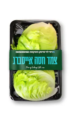 חסה באק צ'וי גלאט