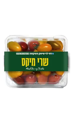 גזר מגורד "שטראוס"