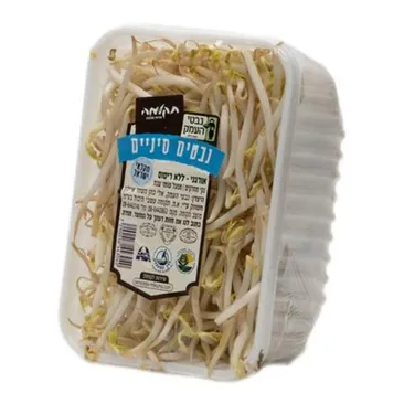 נבטים סיניים