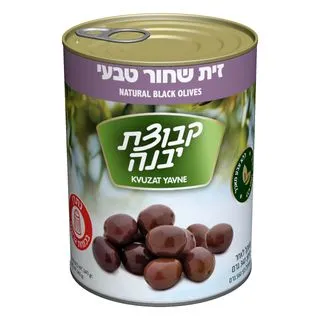 רגינה זיתים שחורים