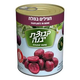 חציל מחנה יהודה 250