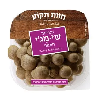 פטריות שי-מגי חומות