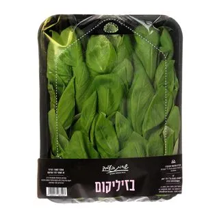בזיליקום פ/ס(100גרם)