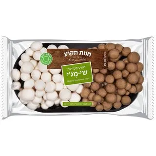 פטריות שי-מגי דואט