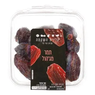 תמר מג'הול 350 גר בק