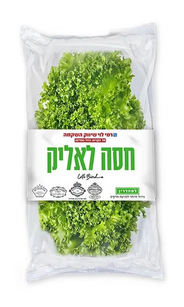 חסה לאליק מהדרין